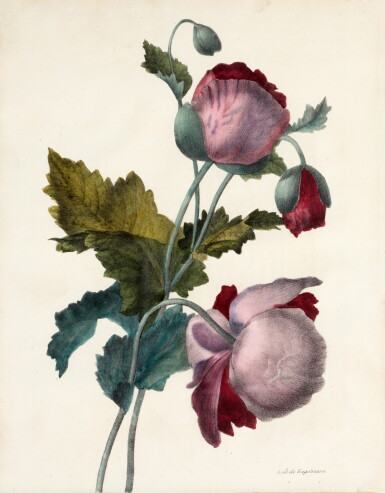 View full screen - View 1 of Lot 217. Gerard van Spaendonck | Souvenirs de van-Spaendonck, ou recueil de fleurs, Paris, 1826.