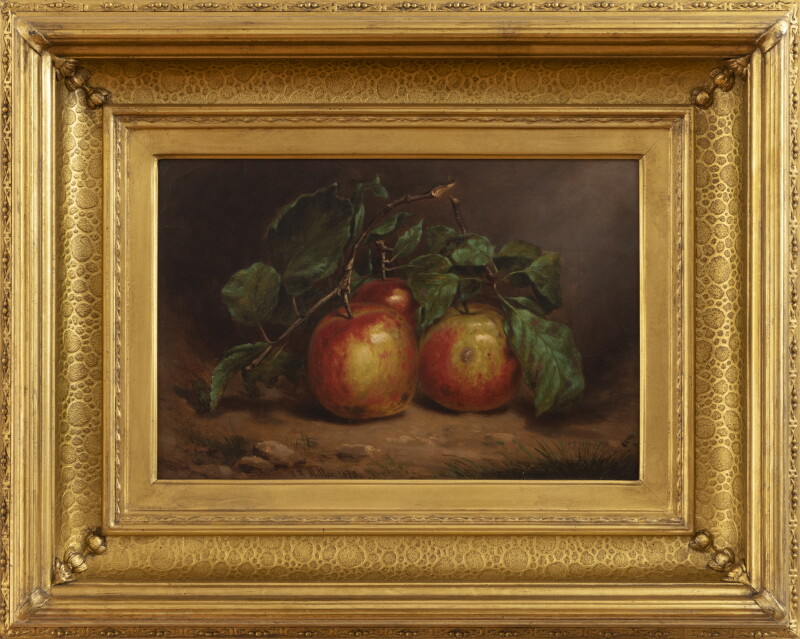 Cover image 0