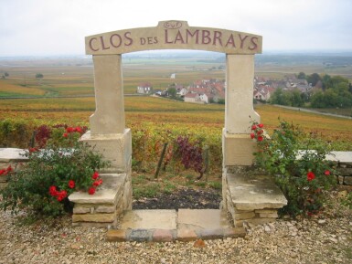 View full screen - View 1 of Lot 432. Clos des Lambrays 2015 Domaine des Lambrays (12 BT).