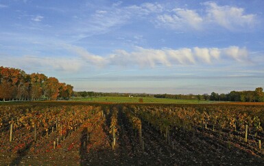 View full screen - View 1 of Lot 700. Brane Cantenac and Cantenac Brown from the 1970s (12 BT).