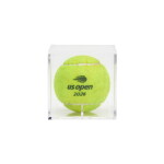 Ben Shelton v. Frances Tiafoe 2026 US Open Semifinal Match Point Tennis Ball | 4th Set