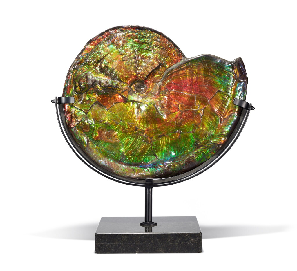 View full screen - View 1 of Lot 16. Very Large Iridescent Ammonite .