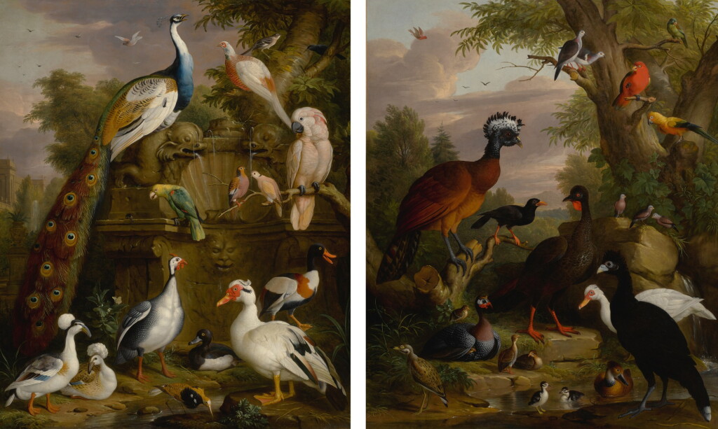 View full screen - View 1 of Lot 30. An assembly of birds in a parkland landscape, including a blue peacock, a pair of domestic crested ducks, a barbary coast duck, a red crested cockatoo, a yellow-headed Amazonian parrot, a great curassow, a white Muscovy duck, an Australian king parrot, guinea fowl, and turtle doves.
