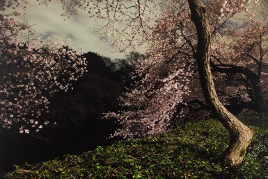 View full screen - View 1 of Lot 97. Tokyo Imperial Memories, After Dark (from Chasing Good Fortune).