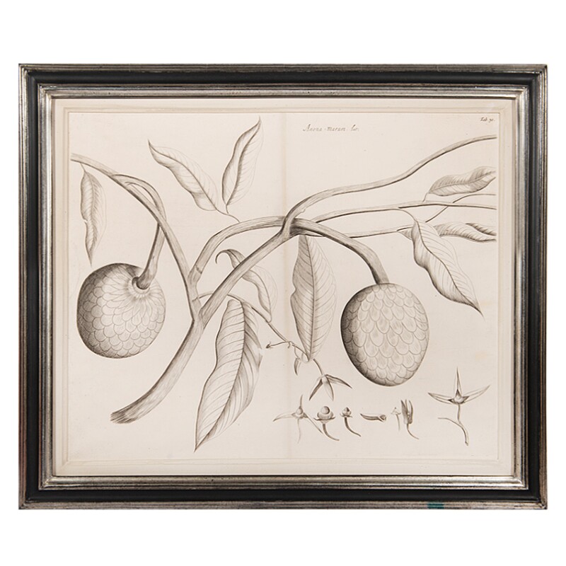Cover image 0