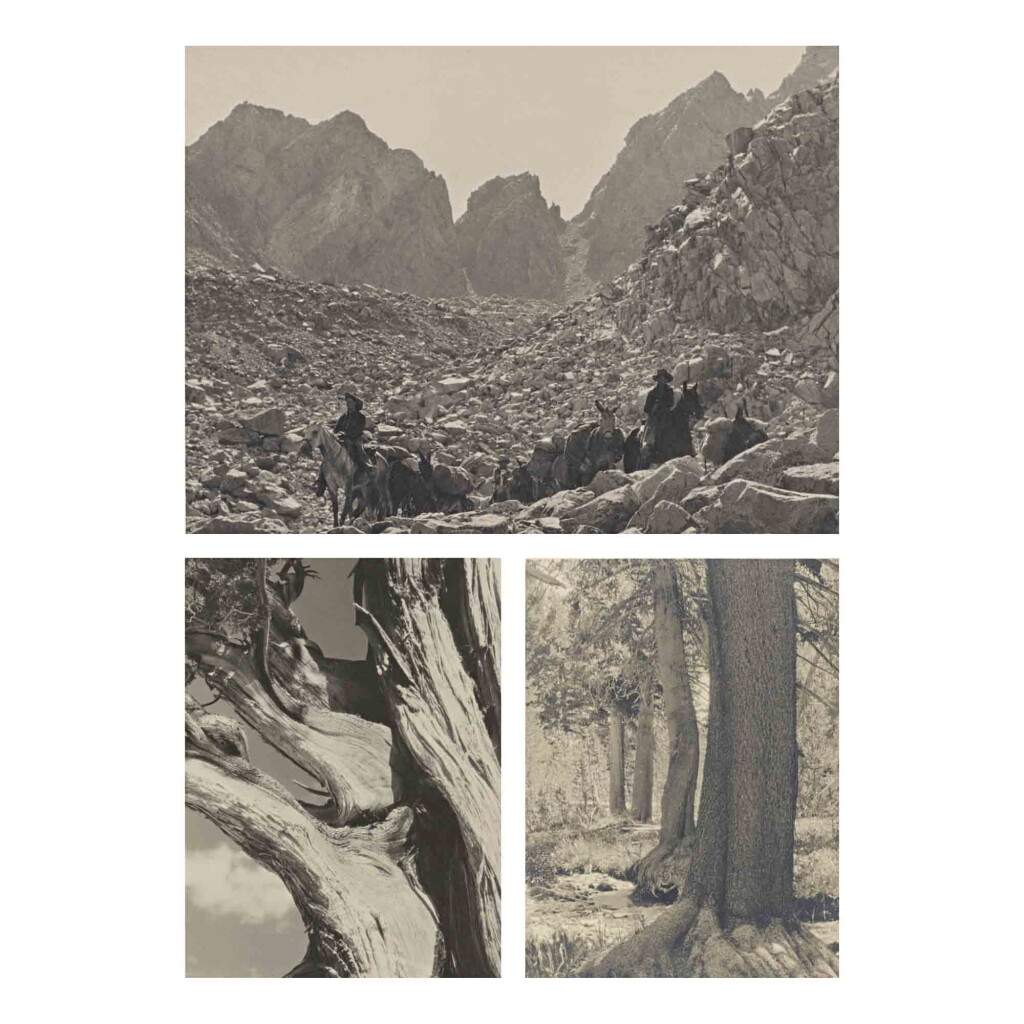 View full screen - View 1 of Lot 47. The Sierra Club Outing, 1930.