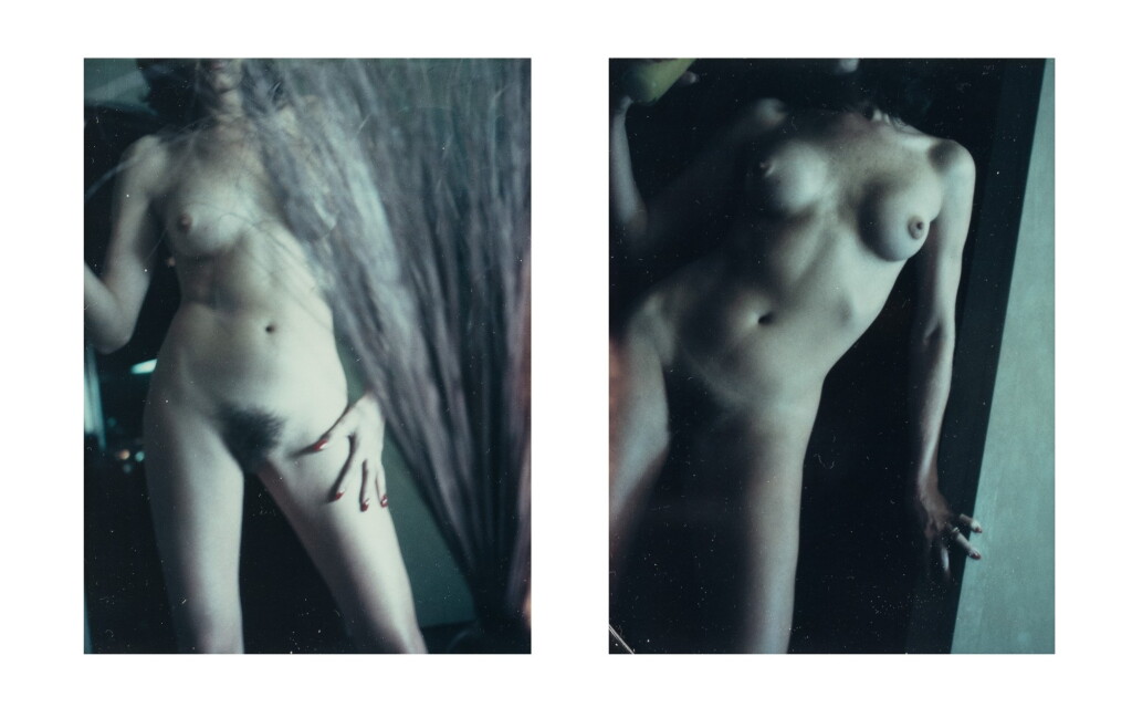 View full screen - View 1 of Lot 9. HELMUT NEWTON | WHO, WHAT, WHERE?, vers 1980.