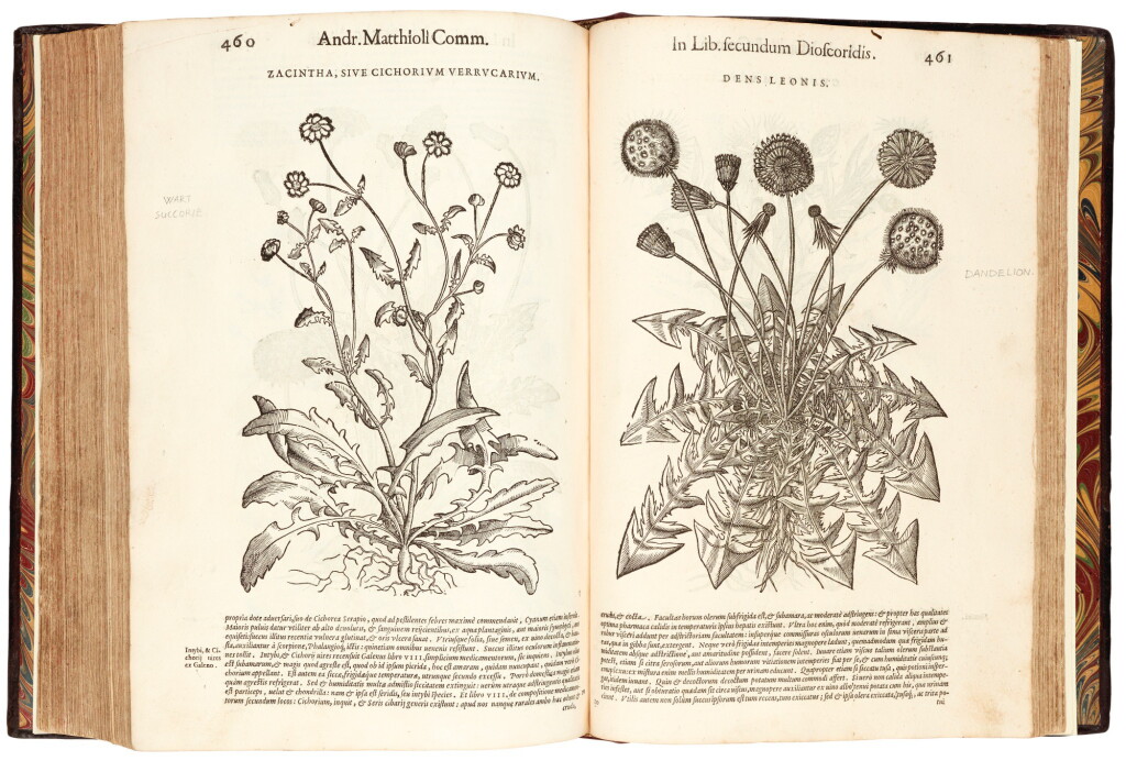 View full screen - View 1 of Lot 31. Mattioli | Commentarii in VI libros Pedacii Dioscoridis Anazarbei de medica materia, 1583, 2 volumes.