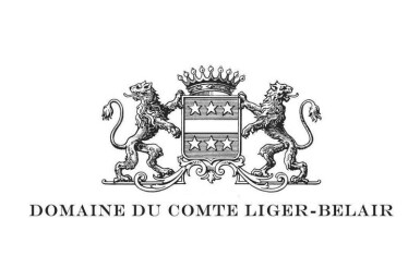 View full screen - View 1 of Lot 1107. Vosne Romanée 2014 Domaine du Comte Liger-Belair (2 BT).