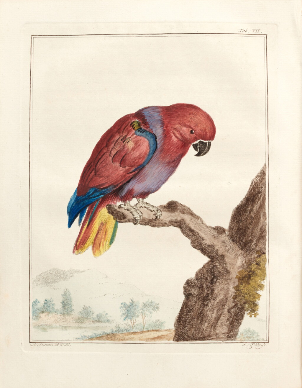 View full screen - View 1 of Lot 500. Arnout Vosmaer | 24 separately-published papers on natural history, 1767-74, 24 parts in 1 vol., sprinkled calf.