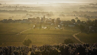 View full screen - View 1 of Lot 117. Marsannay 2012 and Pommard 2013 from Méo Camuzet Frère et Soeur (4 BT).