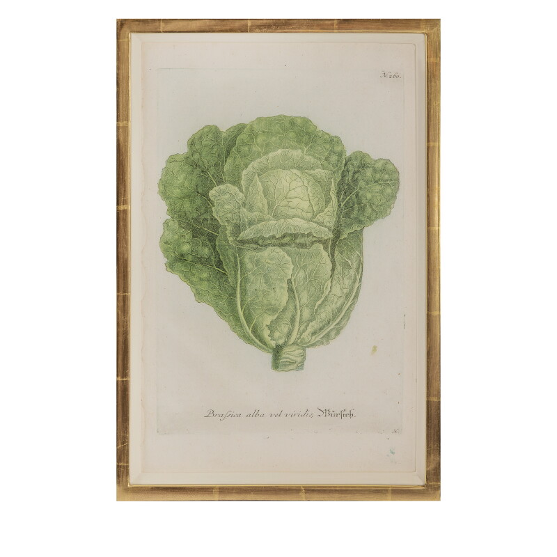 Cover image 0