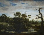 JOACHIM GOVERTSZ. CAMPHUYSEN | HILLY LANDSCAPE WITH TREES