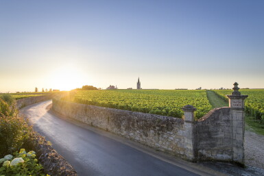 View full screen - View 1 of Lot 432. Château Canon Great Vintages Visit + Dinner.