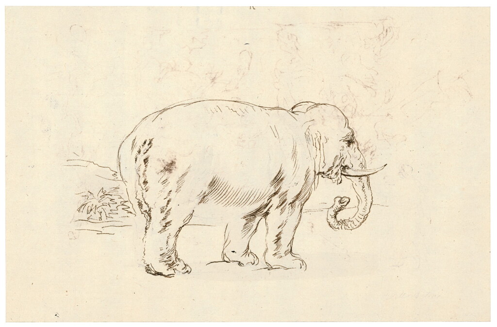 Voir en plein écran - Voir 1 du lot 41. Recto: Study of an Elephant Verso: The Battle of the Centaurs and Lapiths.