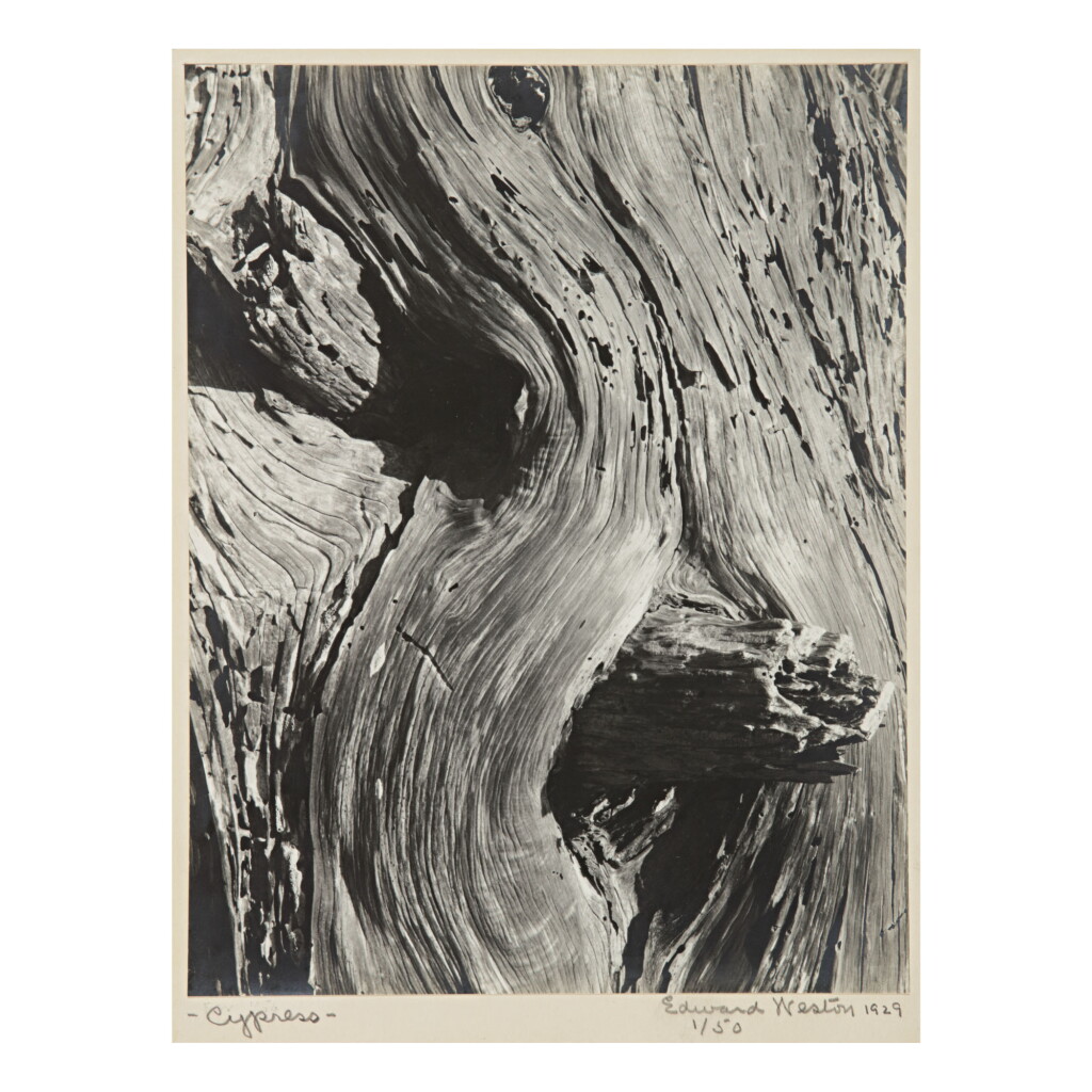 View full screen - View 1 of Lot 46. EDWARD WESTON | 'CYPRESS'.