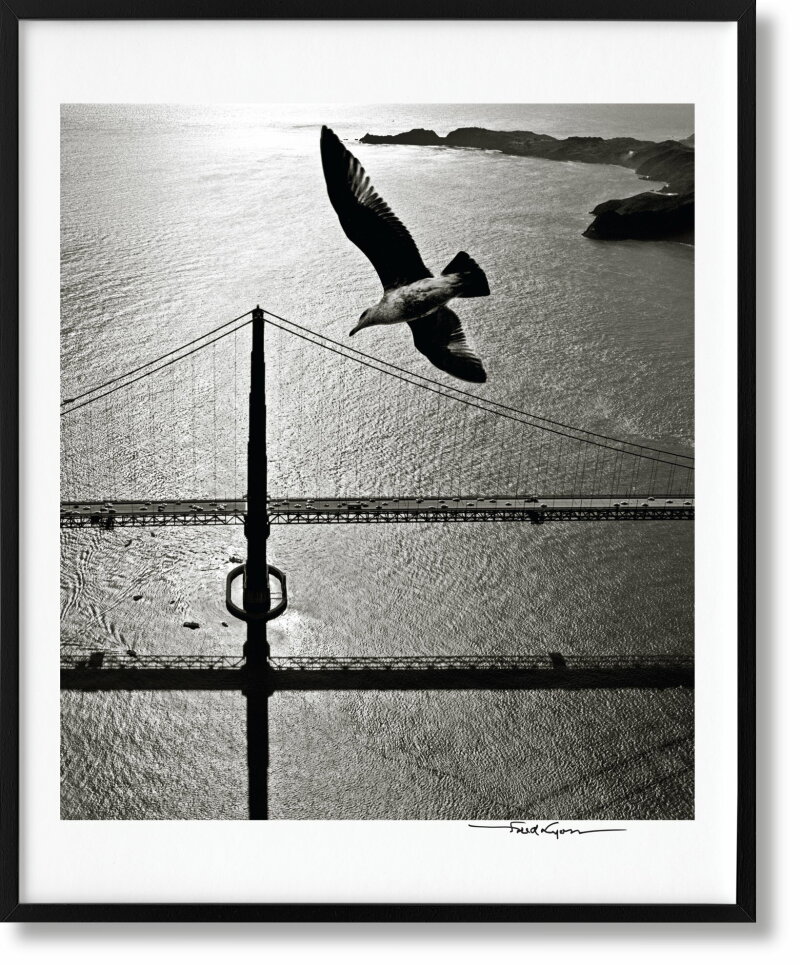 Cover image 0