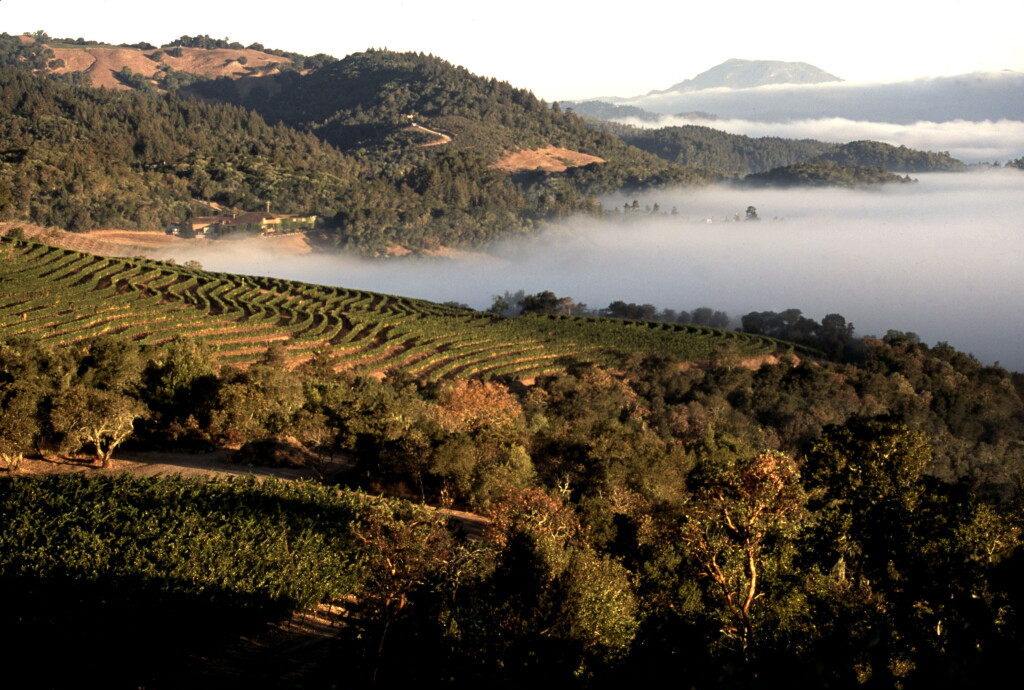View full screen - View 1 of Lot 301. Harlan Estate 2012 (6 BT).