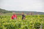 Clos Vougeot, Le Grand Maupertui 2021, Y. Clerget (1 MAG)