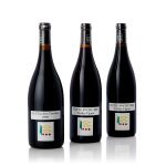 Nuits St. Georges, Premier Cru Vieilles Vignes 2006 Domaine Prieuré Roch (12 BT)