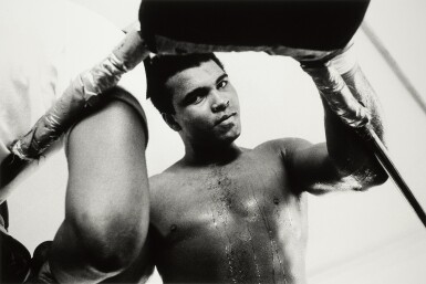 View full screen - View 1 of Lot 347. Through the Ropes.