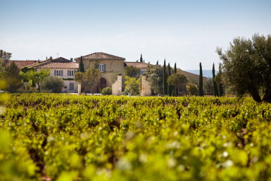 View full screen - View 1 of Lot 142. Châteauneuf-du-Pape, Hommage à Jacques Perrin 2009 Château de Beaucastel (3 BT).