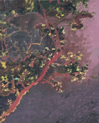 View full screen - View 1 of Lot 1552. Jeremy Sharma | Flame of the Forest.