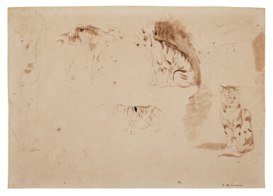 View full screen - View 1 of Lot 238. Studies of cats, other felines and two female nudes seen from behind.