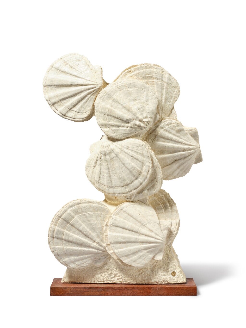 View full screen - View 1 of Lot 22. Plaque of Giant Scallop Fossil Shells.