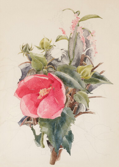 View full screen - View 1 of Lot 56. Hibiscus.