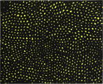 Yayoi Kusama 草間彌生 | Nets 19 網 19號