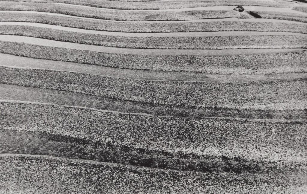 View full screen - View 1 of Lot 20. Untitled (NM Photo 13).