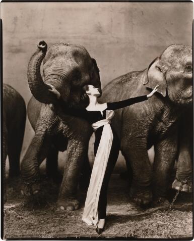 View full screen - View 1 of Lot 11. 'Dovima with elephants, Evening dress by Dior, Cirque d'Hiver, Paris, August 1955'.