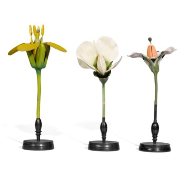 View full screen - View 1 of Lot 52. Robert & Reinhold Brendel, Germany, 1821-1927 | Three Didactic Botanical Models .