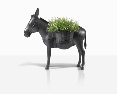 View full screen - View 1 of Lot 61. Âne Planté.