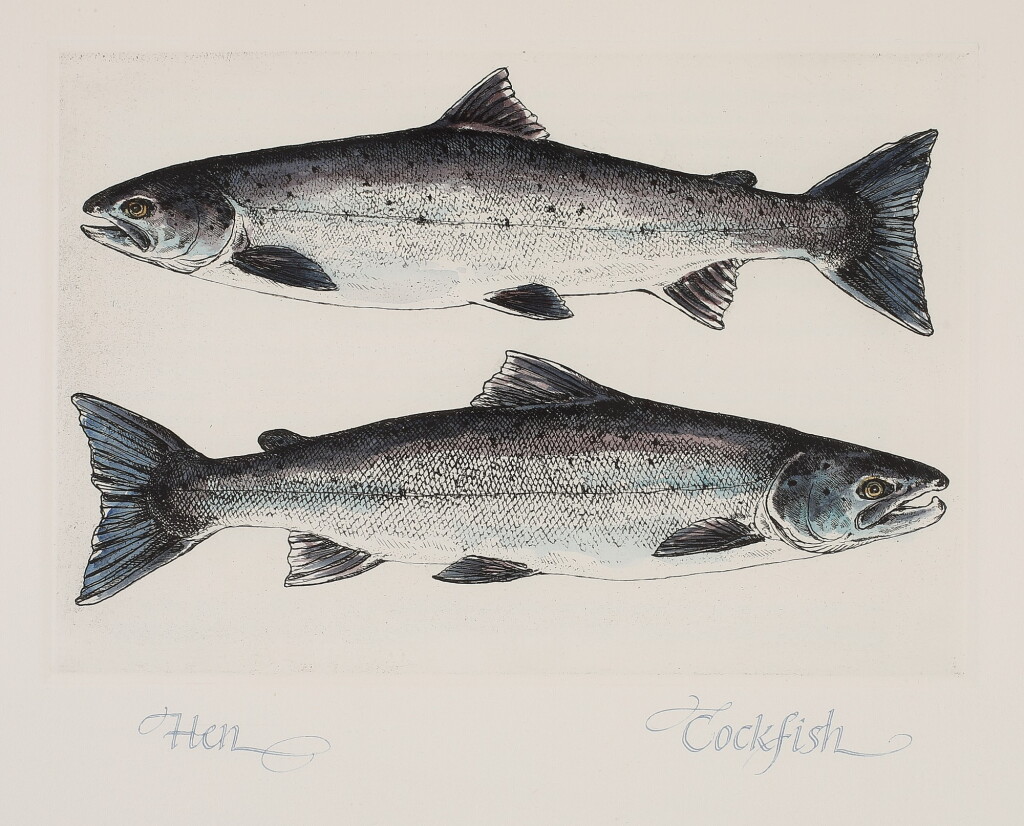 View full screen - View 1 of Lot 23. ROBINSON, ALAN JAMES | A Group of Four Works Published by the Cheloniidae Press.