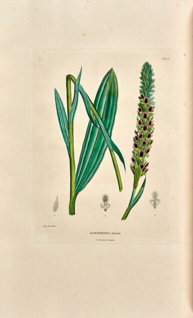 View full screen - View 1 of Lot 361. Alexander von Humboldt and Aimé Bonpland | Voyage... Sixième partie, botanique, Paris, 1815-25, 7 vols, red morocco.