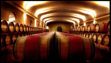 View full screen - View 1 of Lot 366. Domaine de Chevalier Rouge 2014 (12 BT).