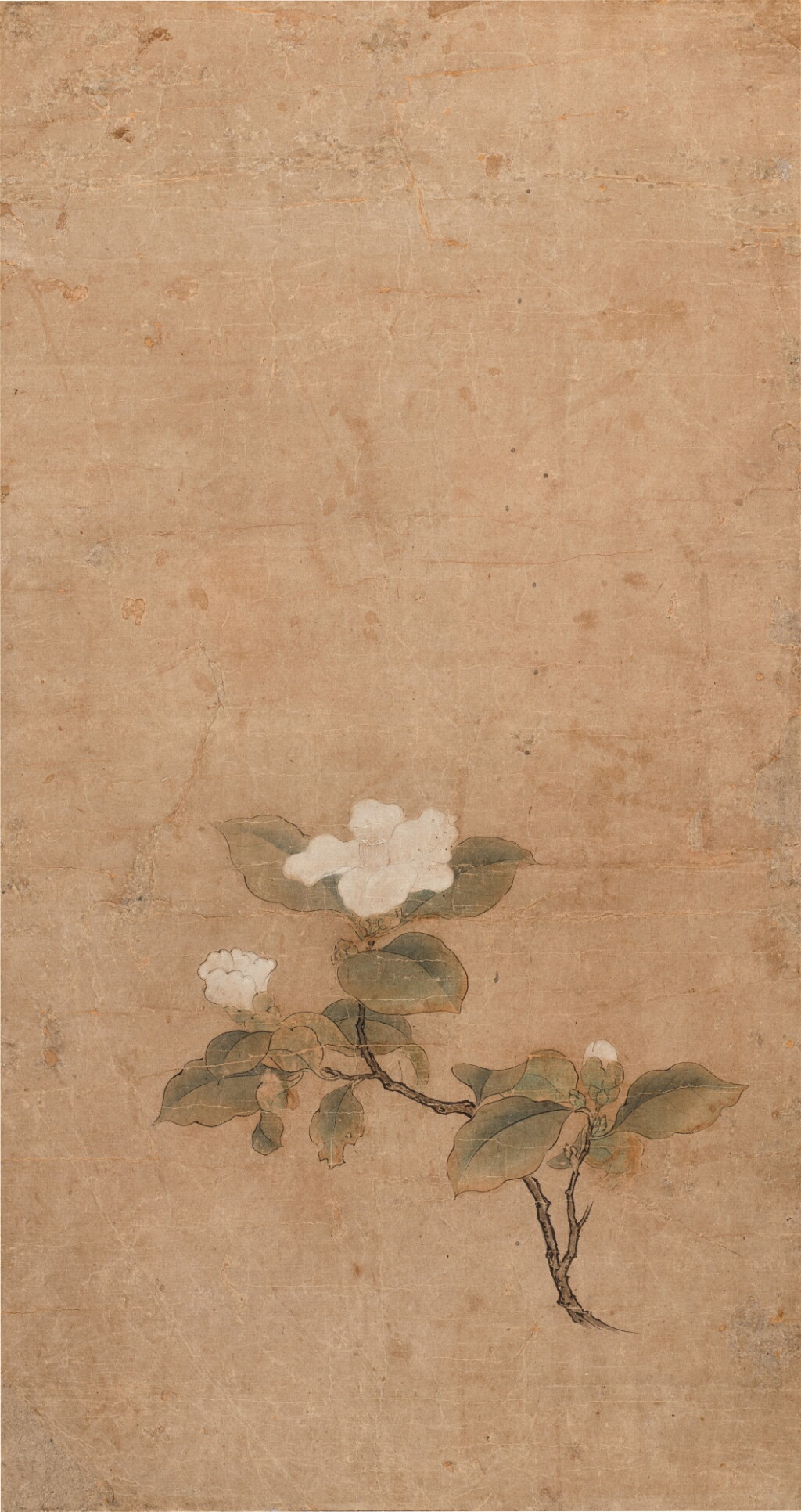 View full screen - View 1 of Lot 3074. (傳)錢選 百椿圖|Attributed to Qian Xuan, Camellia| .