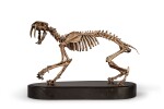 A Bronze Sculpture of a Saber-Toothed Tiger