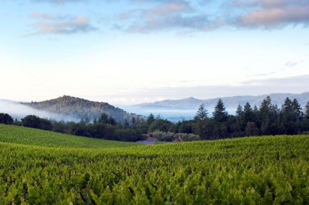 View full screen - View 1 of Lot 46. SLOAN ESTATE | 3X3! (3 DM).