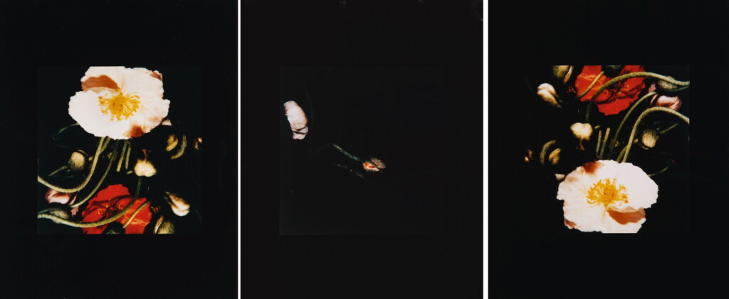 View full screen - View 1 of Lot 60. DONALD SULTAN | POPPIES.