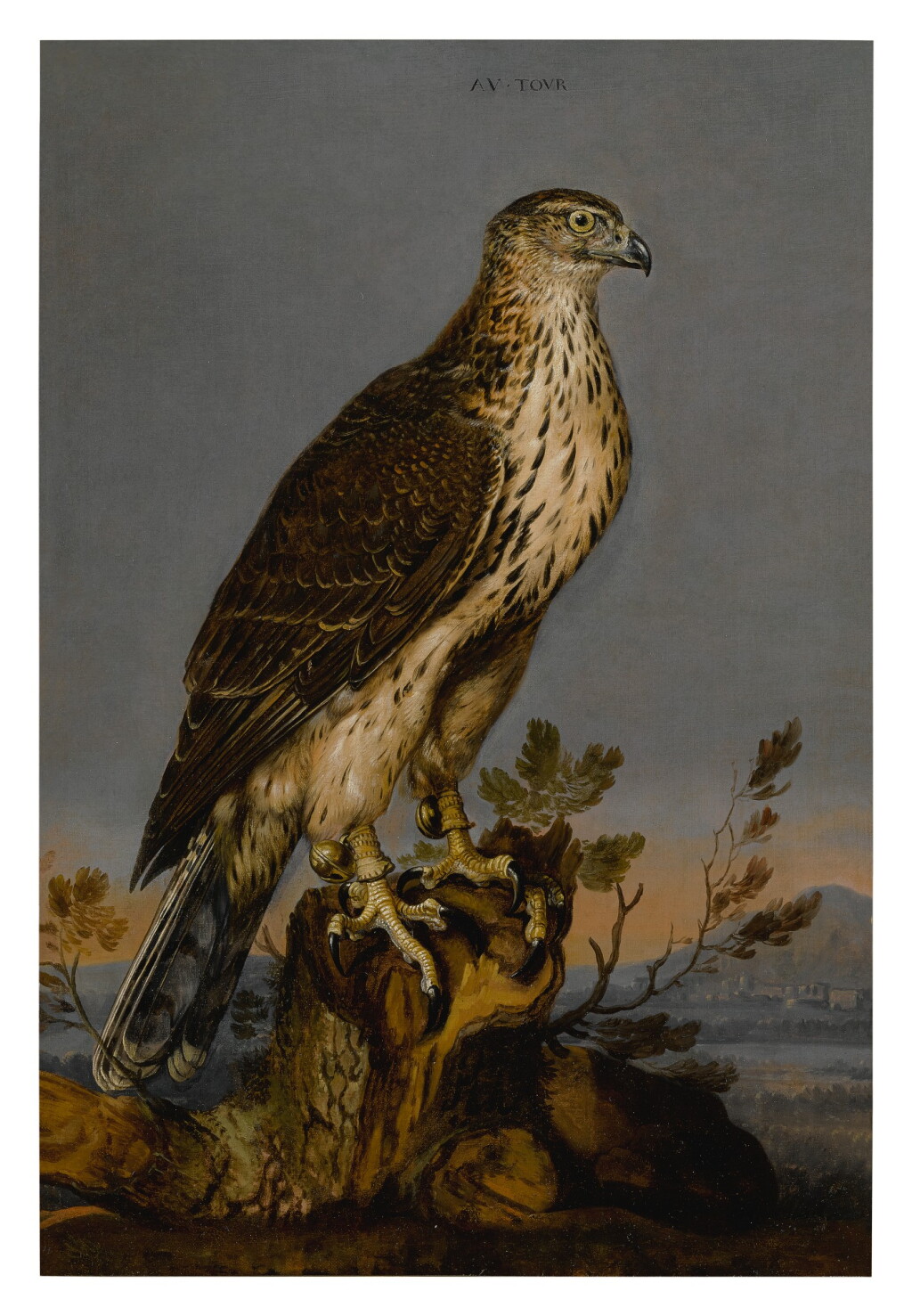 View full screen - View 1 of Lot 105. CARSTIAN LUYCKX | A BROWN GYRFALCON PERCHED ON A TREE TRUNK WITH A LANDSCAPE BEYOND.