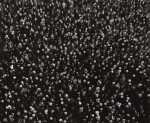 ARTHUR SIEGEL | THE RIGHT OF ASSEMBLY