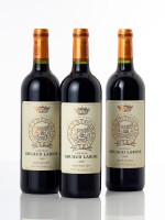 Château Gruaud Larose 2009 (12 BT)