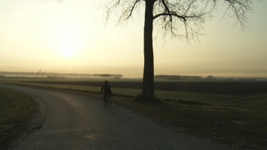 View full screen - View 1 of Lot 17. Sunrise.