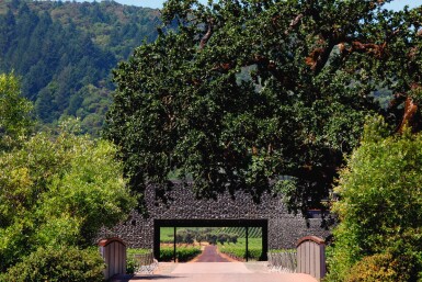 View full screen - View 1 of Lot 12. DOMINUS, WINE AND ARCHITECTURE: 1 X 6 LITRE DOMINUS 2013, WITH TASTING AT THE WINERY .