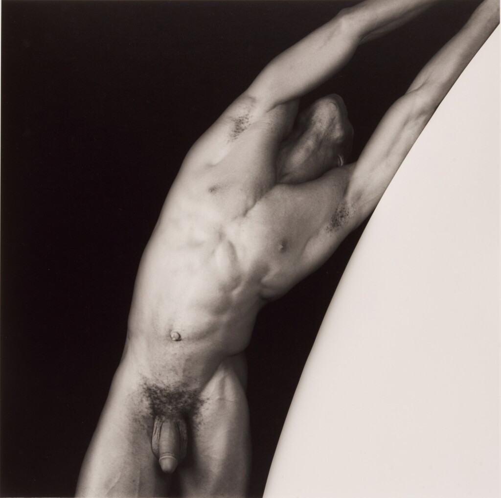 View full screen - View 1 of Lot 26. 'Thomas', 1986.