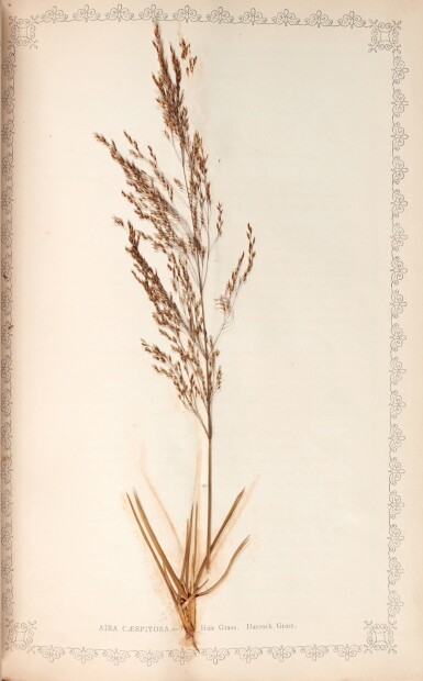 View full screen - View 1 of Lot 349. Frederick Hanham | Natural illustrations of British grasses, Bath, 1846, publisher's red roan gilt.