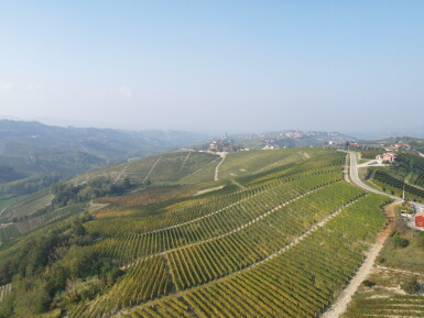 View full screen - View 1 of Lot 381. 2016 Giacomo Conterno Magnum Assortment (4 MAG).